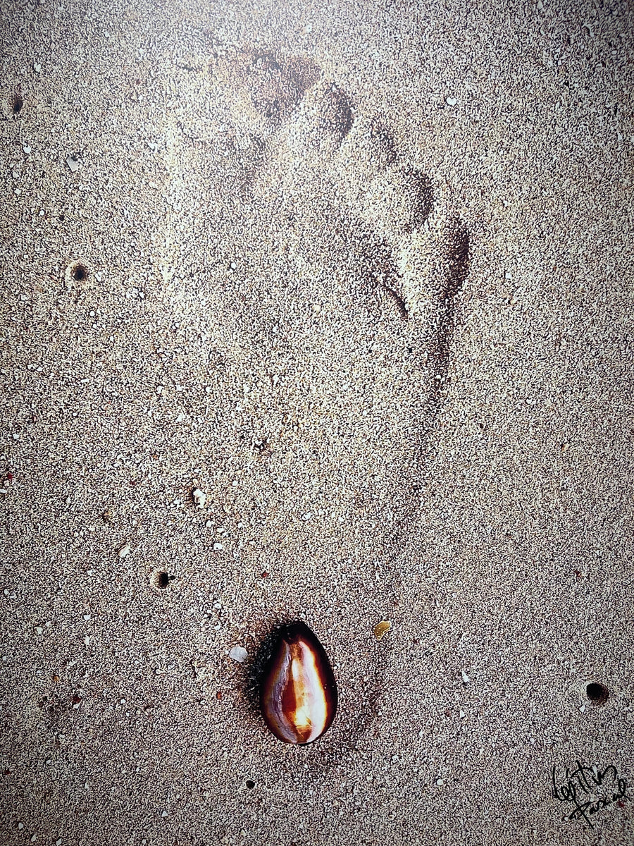 Pied dans l'eau