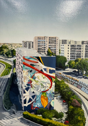 Montpellier rue de la pépinière