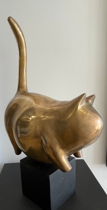 El gato