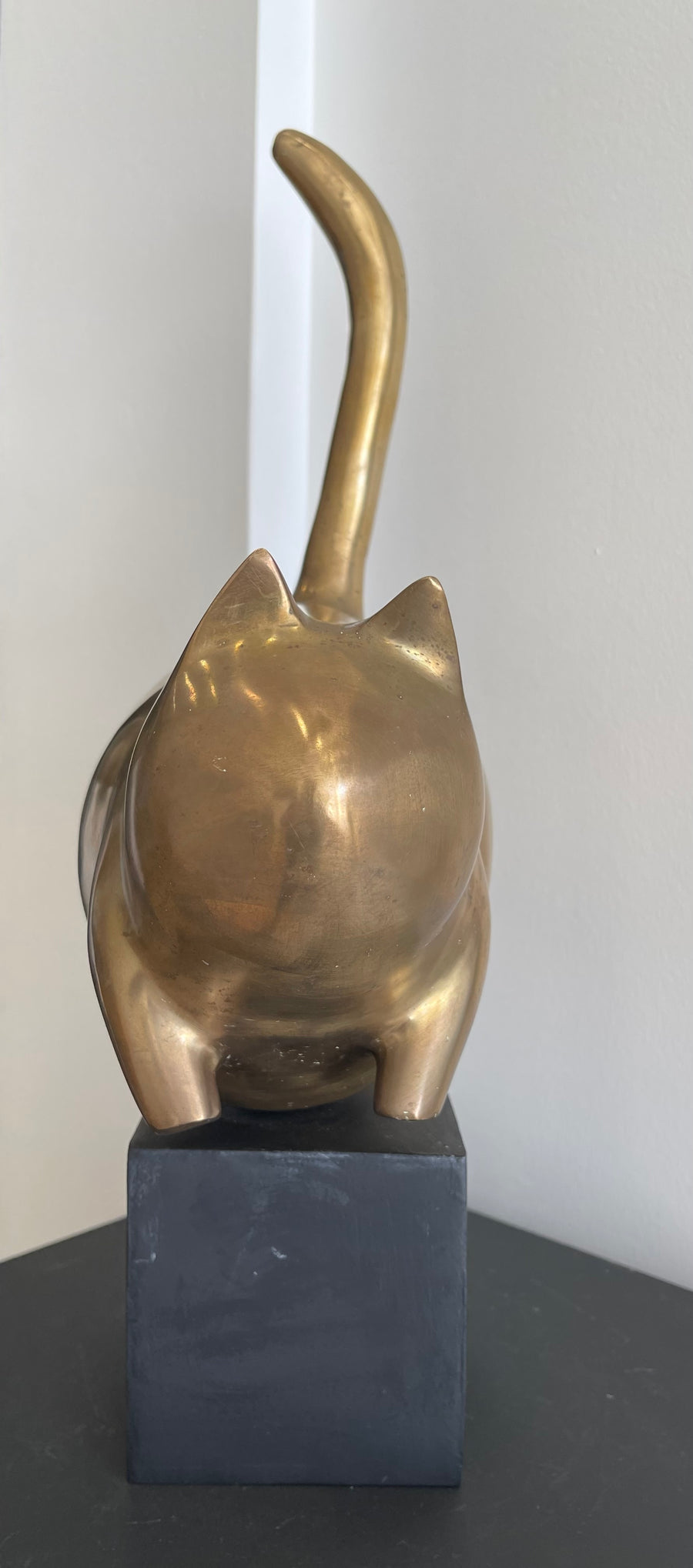 El gato